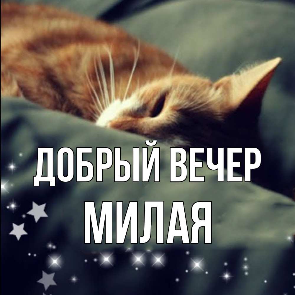 Открытка  с именем. Милая, Добрый вечер  