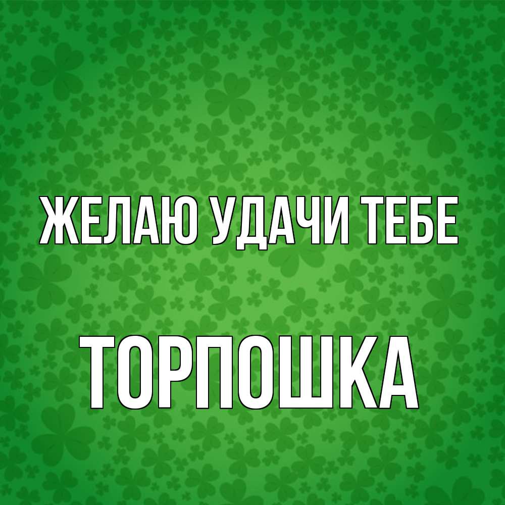 Открытка  с именем. торпошка, Желаю удачи тебе  