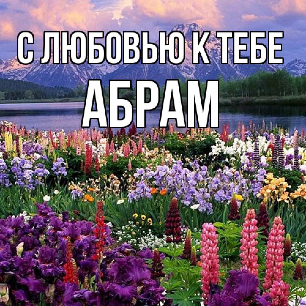 Открытка  с именем. Абрам, С любовью к тебе  