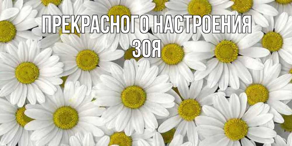 Открытка  с именем. Зоя, Прекрасного настроения  