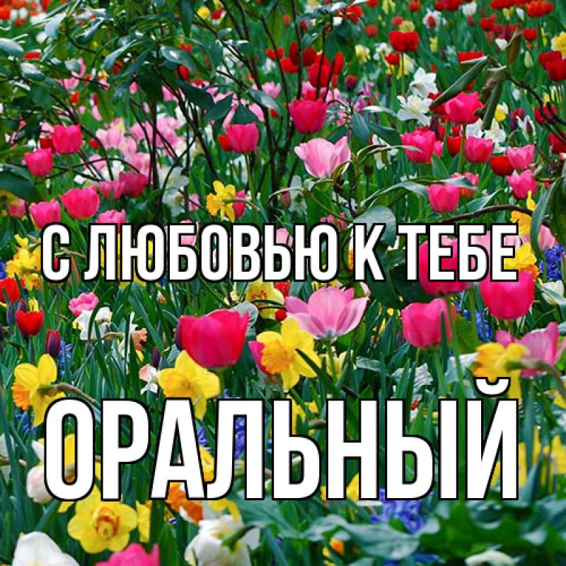 Картинка С любовью к тебе, ОРАЛЬНЫЙ