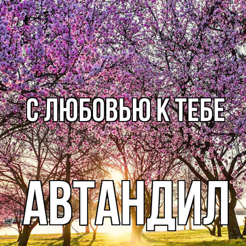 Открытка  с именем. Автандил, С любовью к тебе  
