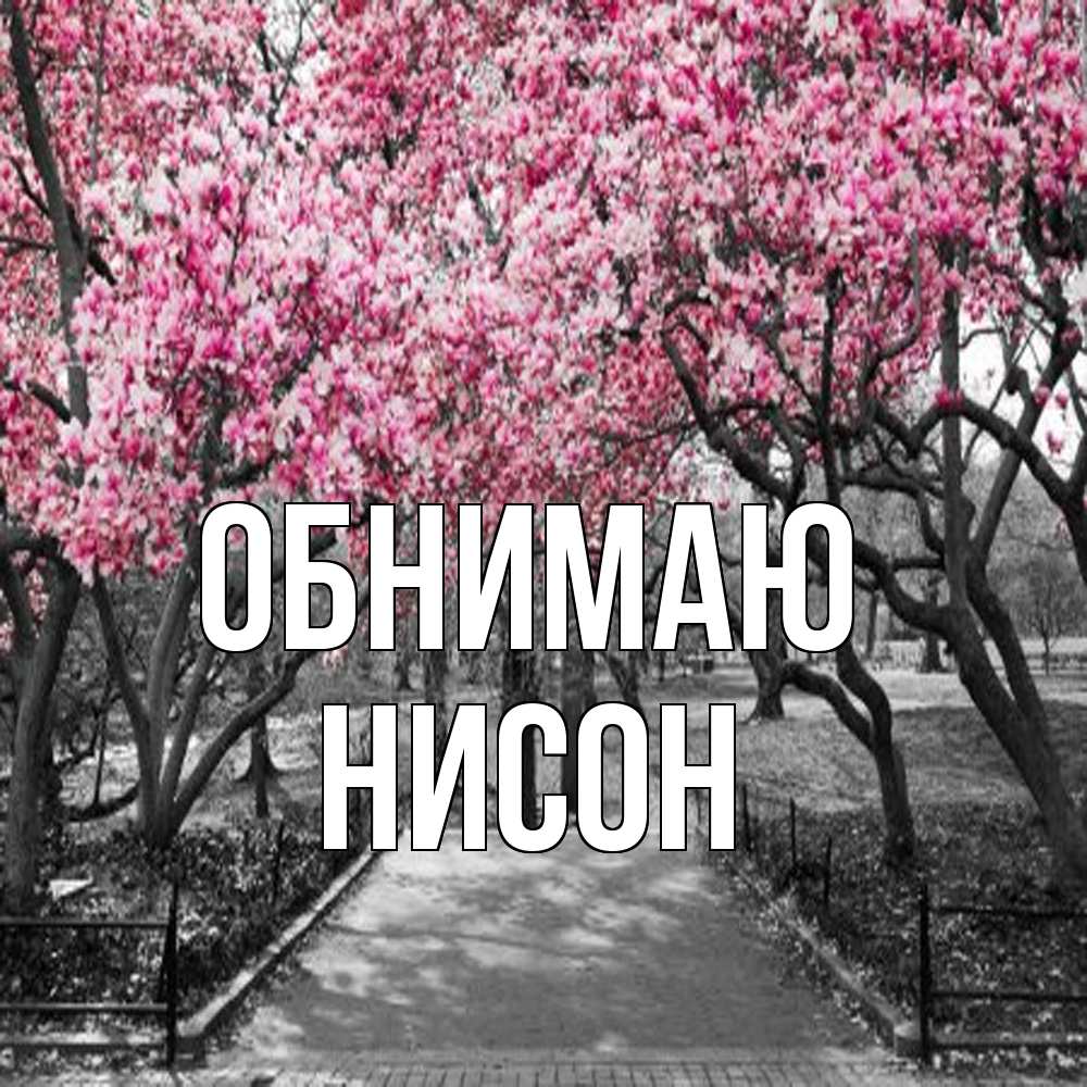Открытка  с именем. Нисон, Обнимаю  