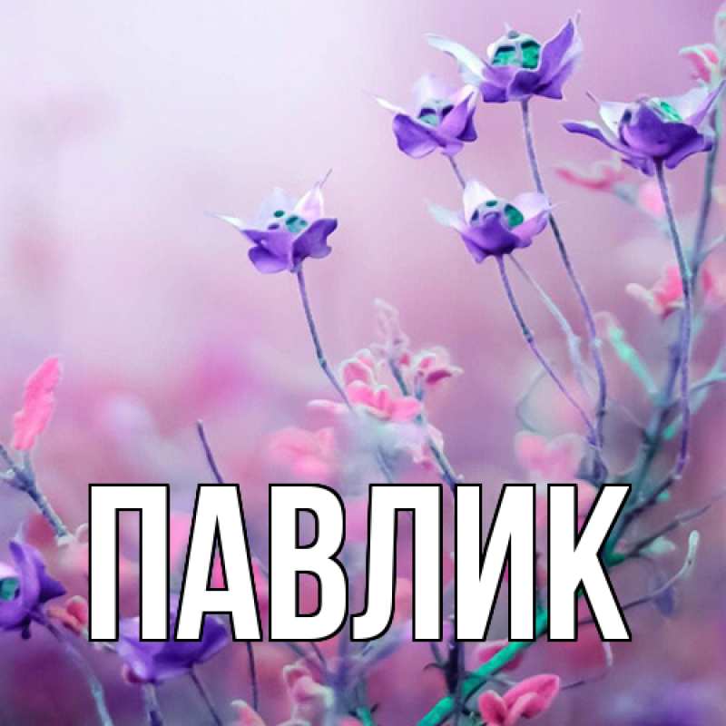 Картинка  с именем , Павлик