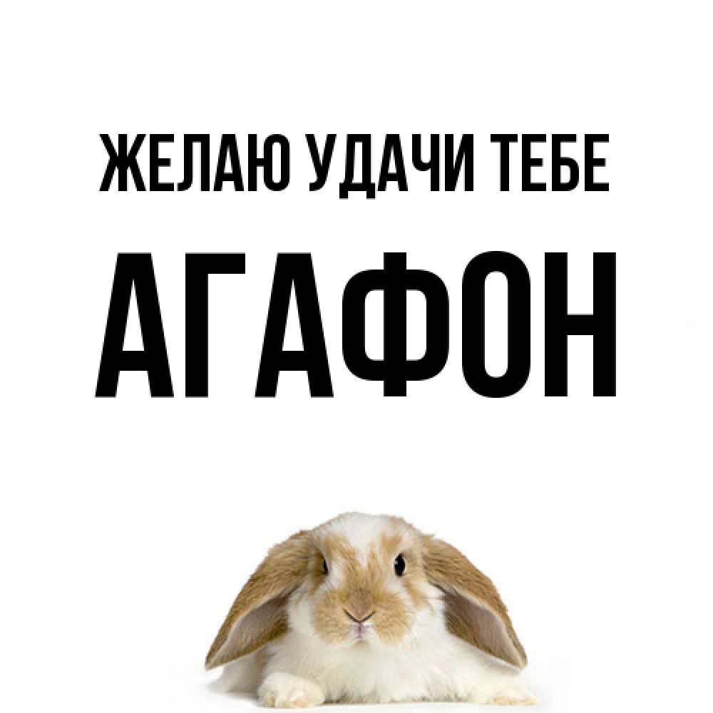 Открытка  с именем. Агафон, Желаю удачи тебе  