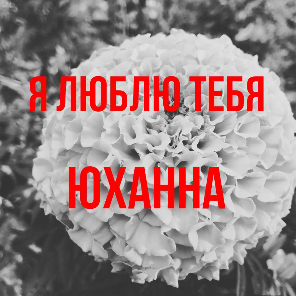 Открытка  с именем. Юханна, Я люблю тебя  