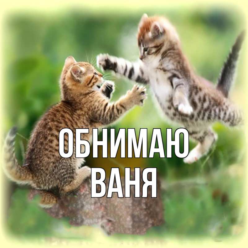 Картинка Обнимаю, ваня