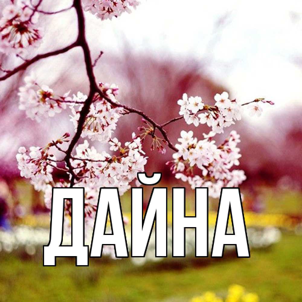 Открытка  с именем. Дайна, Главная  