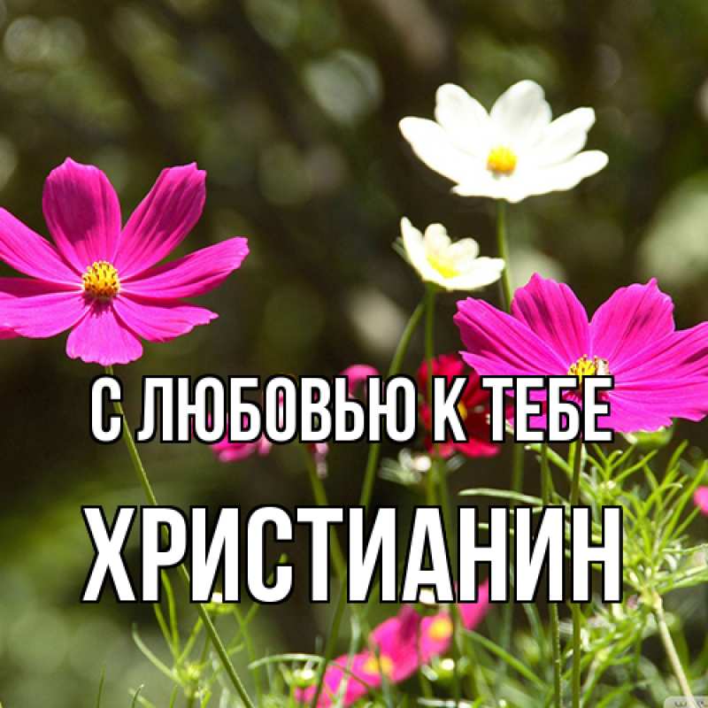 Картинка С любовью к тебе, Христианин