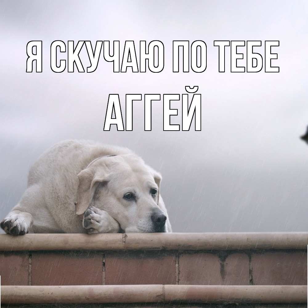 Открытка  с именем. Аггей, Я скучаю по тебе  