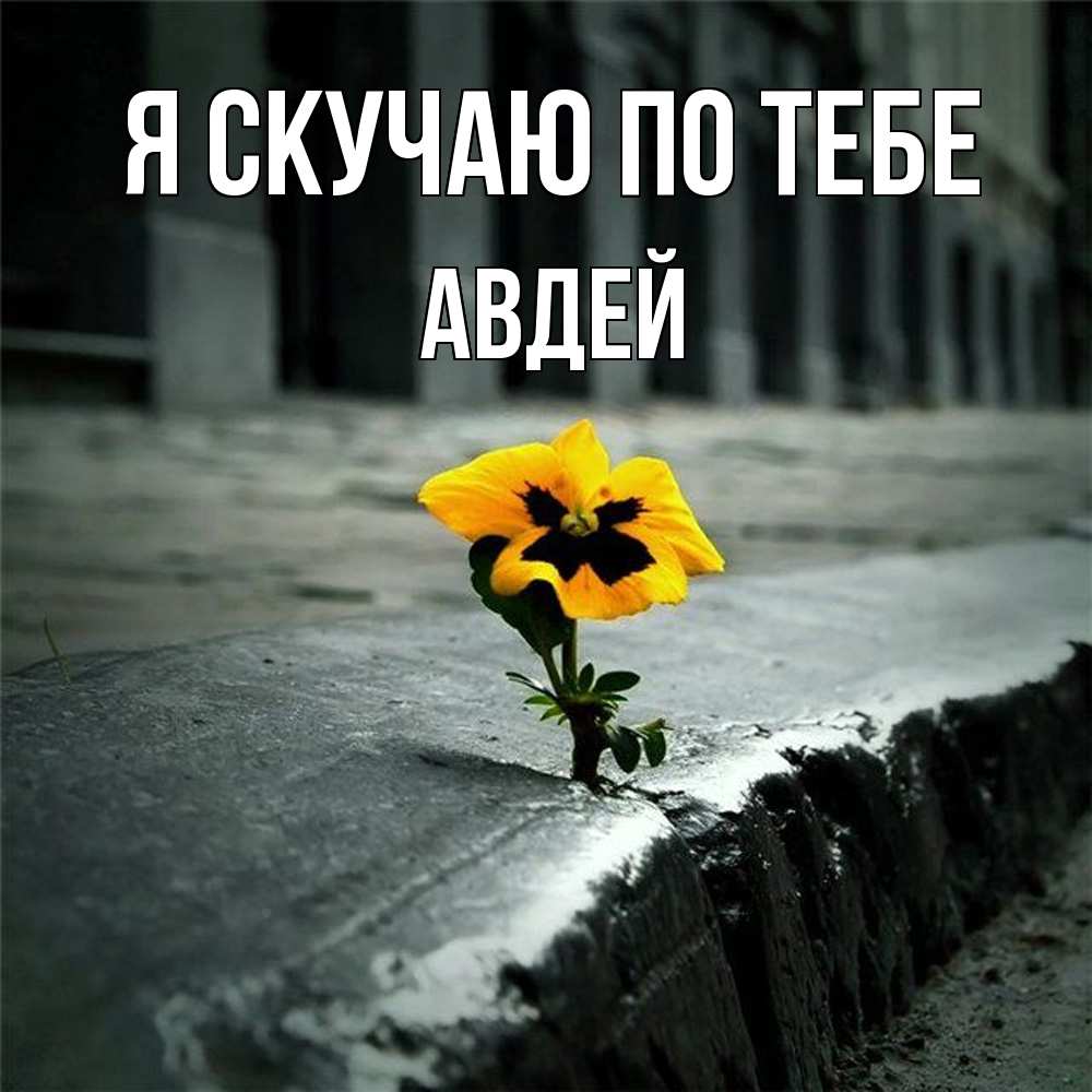 Открытка  с именем. Авдей, Я скучаю по тебе  
