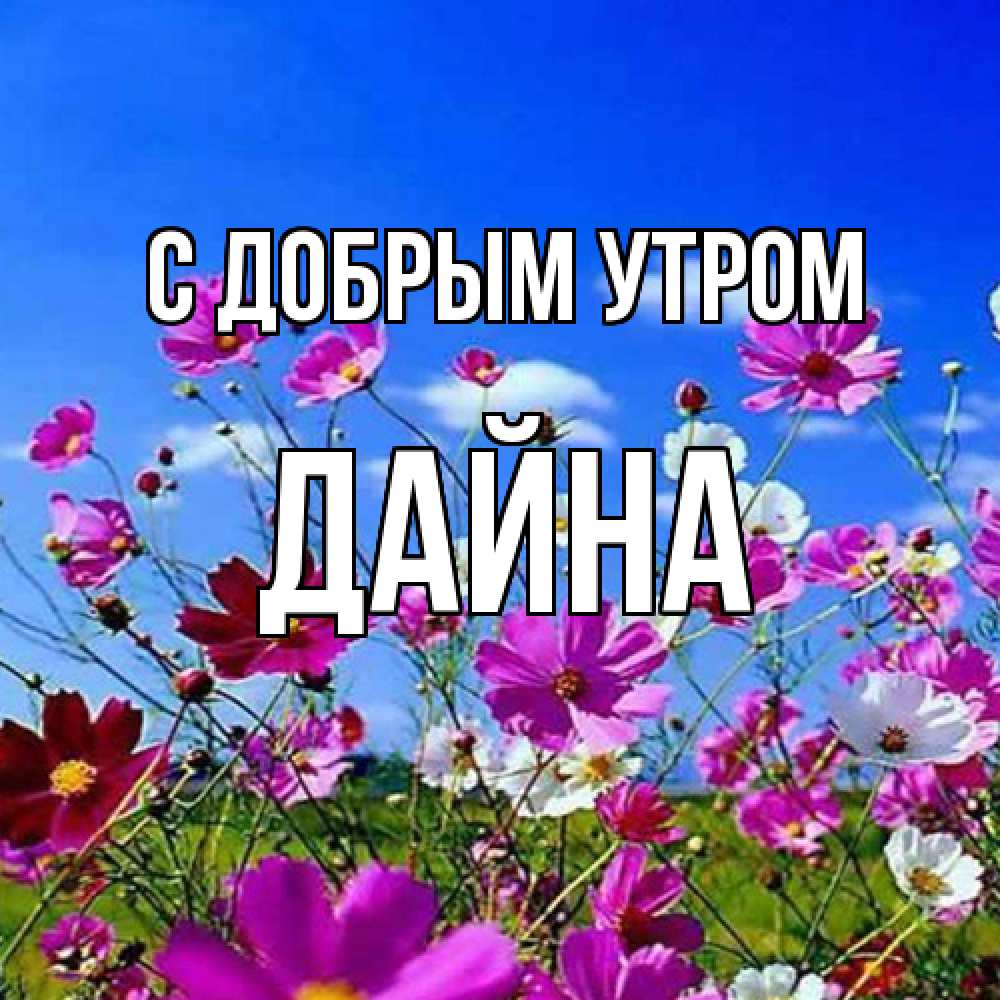 Открытка  с именем. Дайна, С добрым утром  