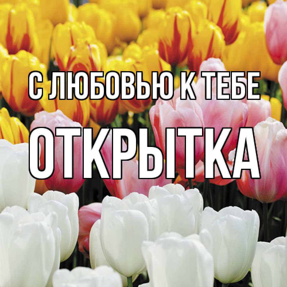 Открытка  с именем. открытка, С любовью к тебе  
