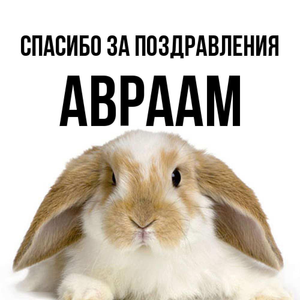 Открытка  с именем. Авраам, Спасибо за поздравления  