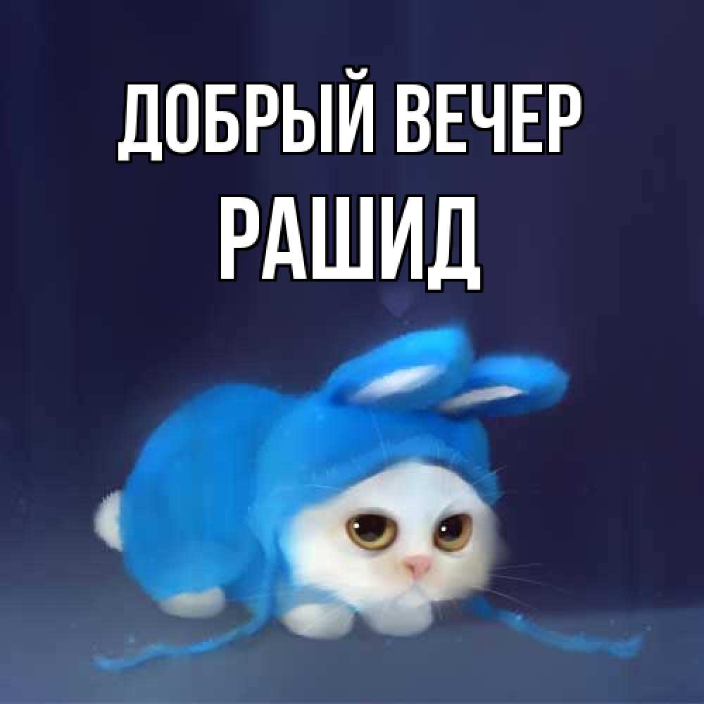 Открытка  с именем. Рашид, Добрый вечер  