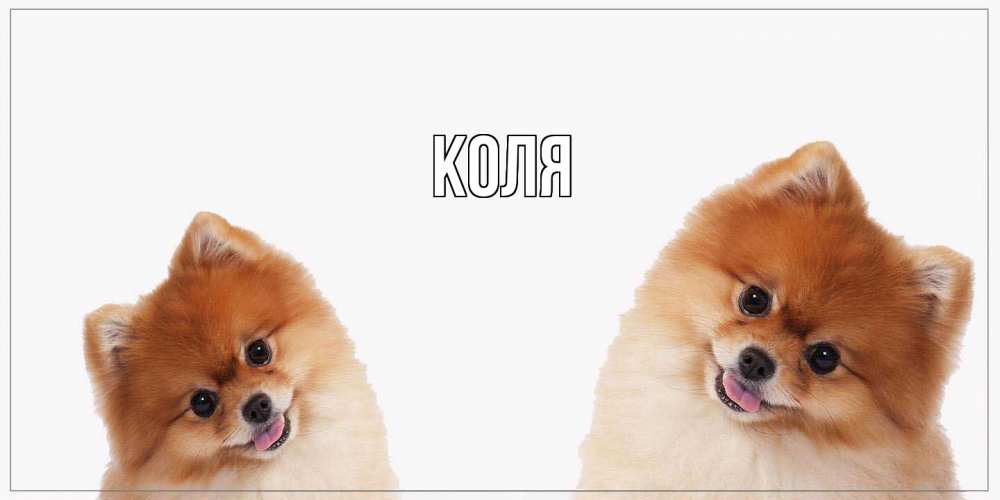 Открытка  с именем. коля, Главная  
