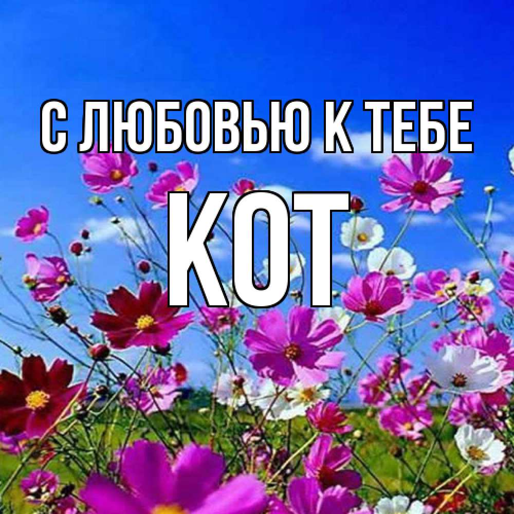 Открытка  с именем. КОТ, С любовью к тебе  