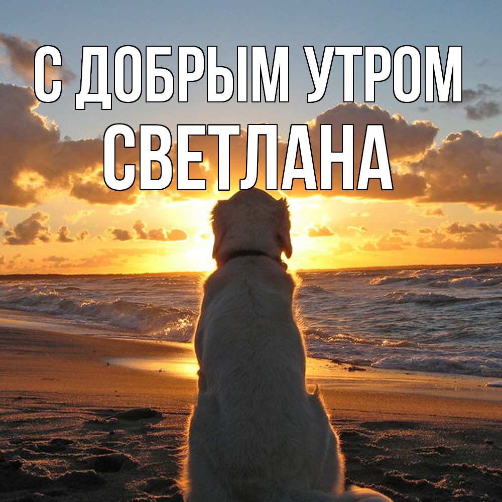 Открытка  с именем. Светлана, С добрым утром  