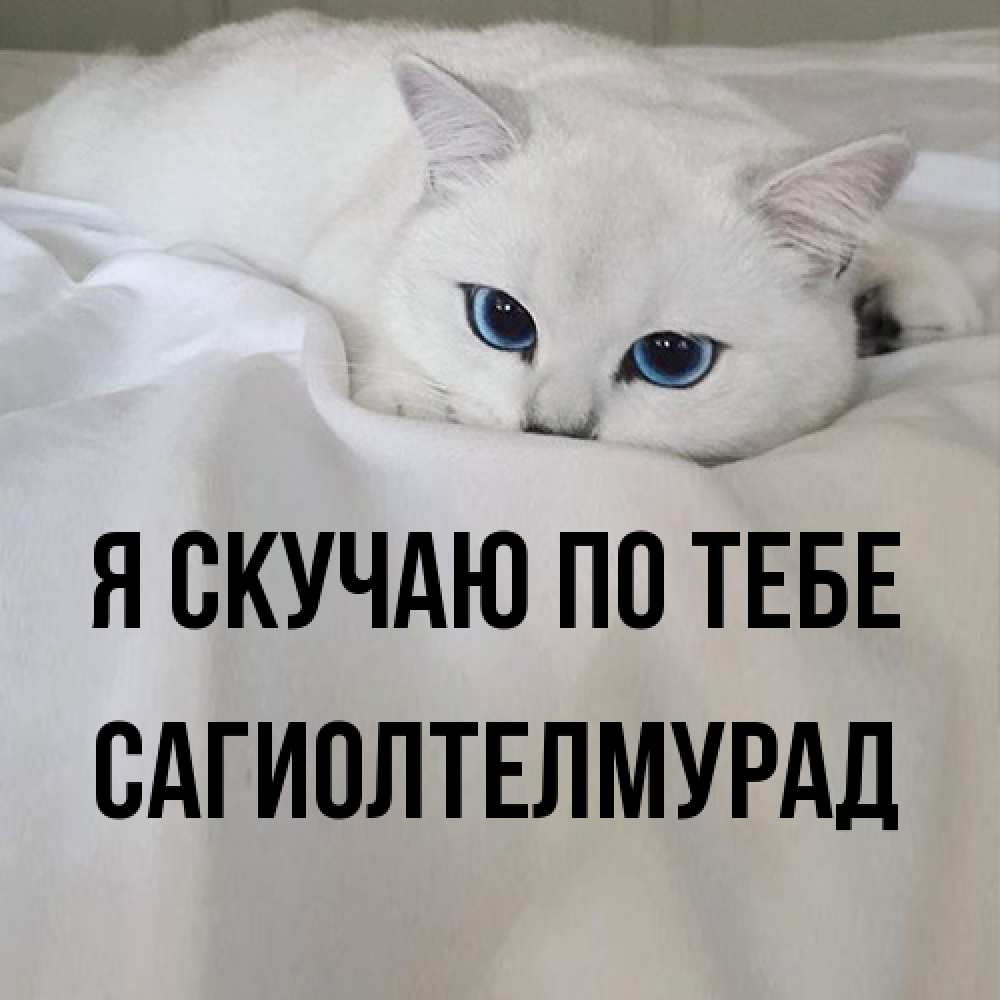 Открытка  с именем. САГИОЛТЕЛМУРАД, Я скучаю по тебе  
