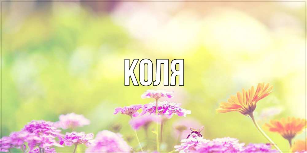 Открытка  с именем. коля, Главная  