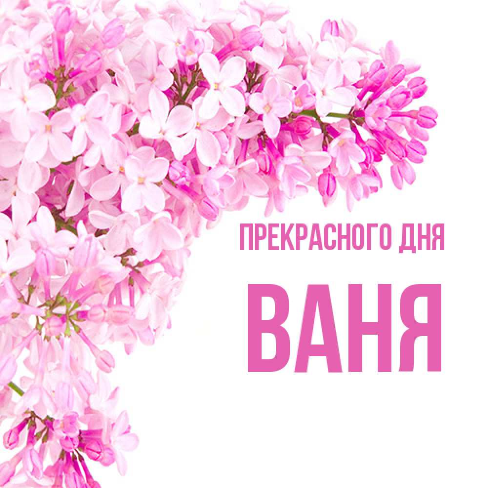 Открытка  с именем. ваня, Прекрасного дня  