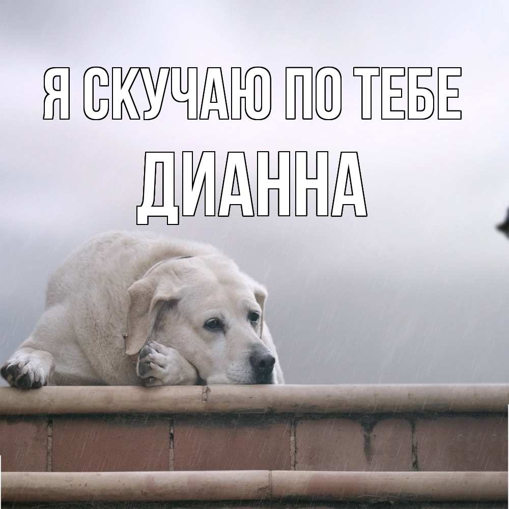 Открытка  с именем. Дианна, Я скучаю по тебе  