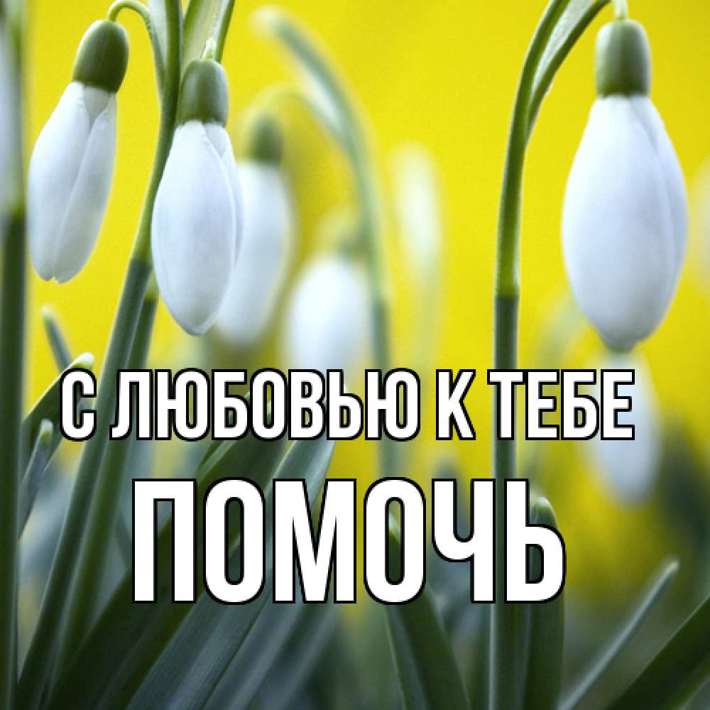 Открытка  с именем. Помочь, С любовью к тебе  