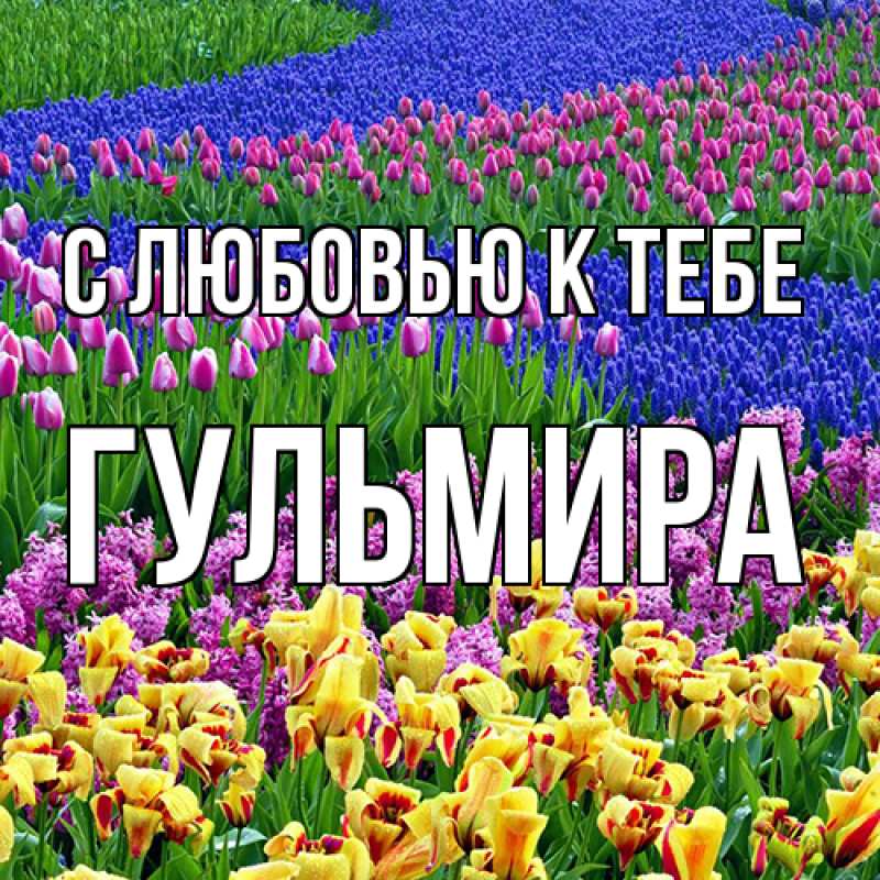 Картинка С любовью к тебе, Гульмира