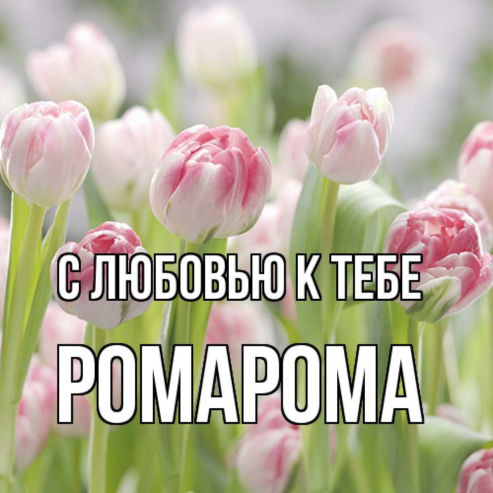 Открытка  с именем. РомаРома, С любовью к тебе  