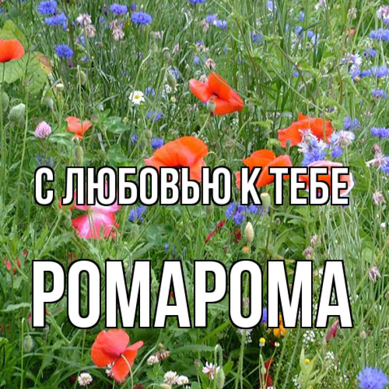 Картинка С любовью к тебе, РомаРома