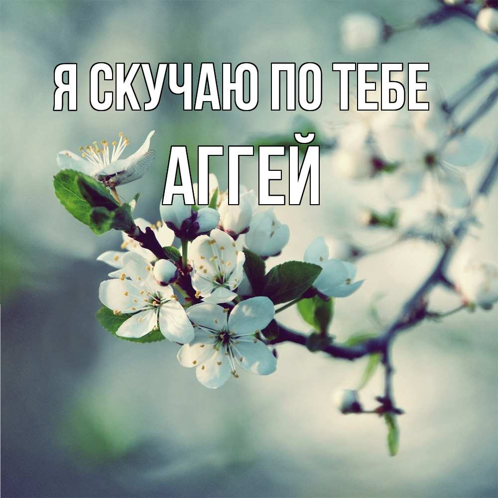 Открытка  с именем. Аггей, Я скучаю по тебе  