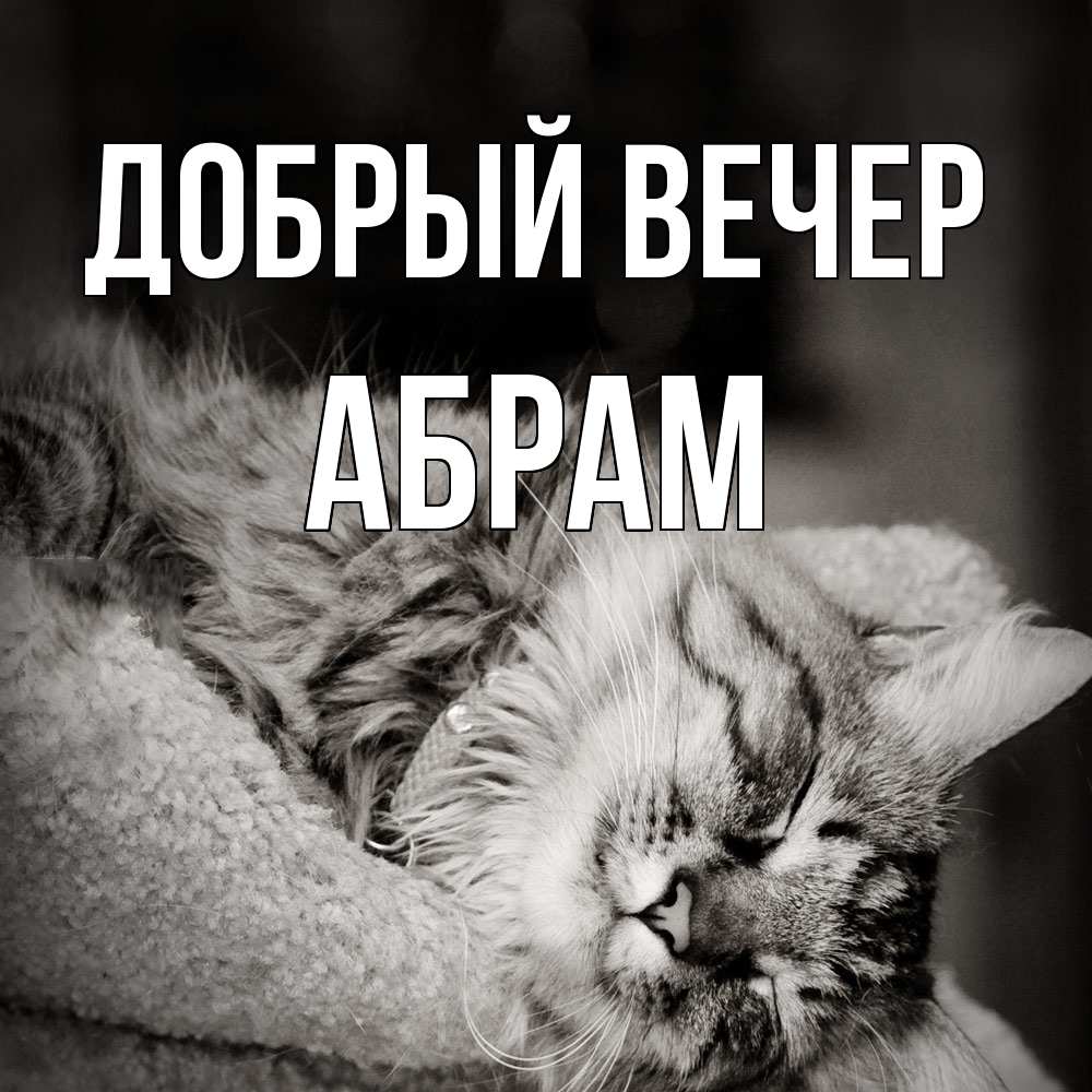 Открытка  с именем. Абрам, Добрый вечер  