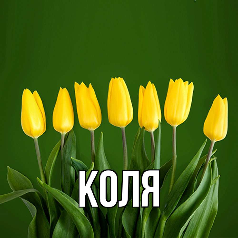 Открытка  с именем. коля, Главная  