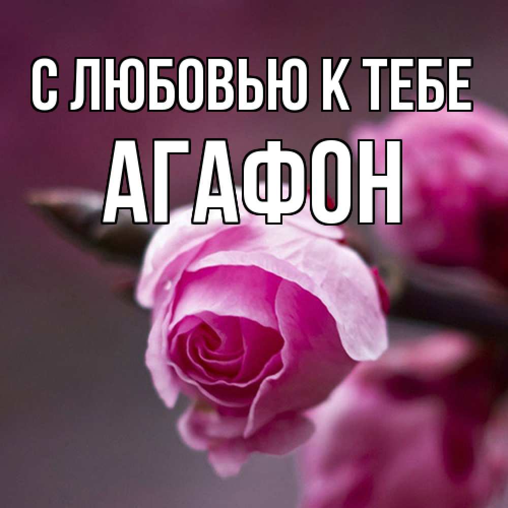 Открытка  с именем. Агафон, С любовью к тебе  