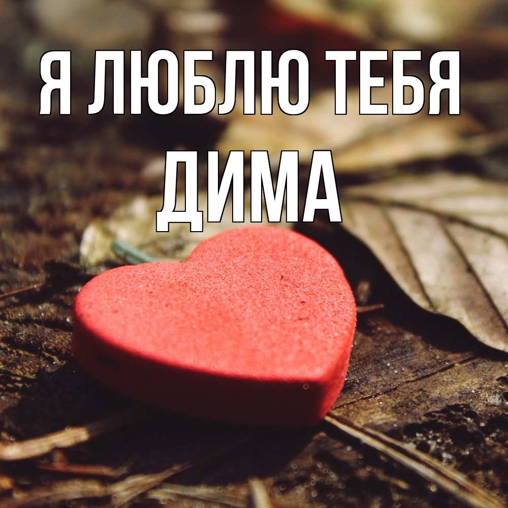 Открытка  с именем. Дима, Я люблю тебя  