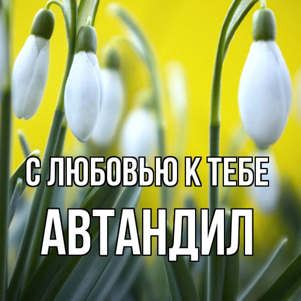 Открытка  с именем. Автандил, С любовью к тебе  