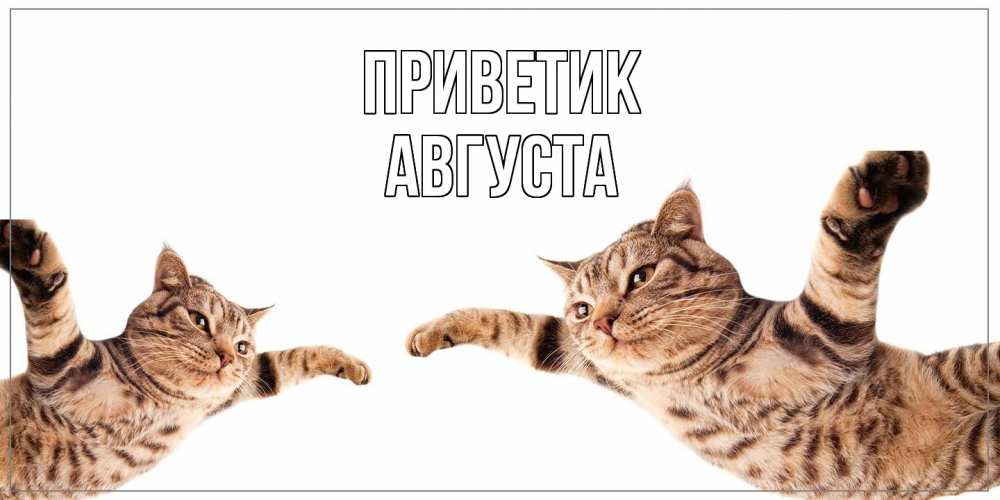 Открытка  с именем. Августа, приветик  