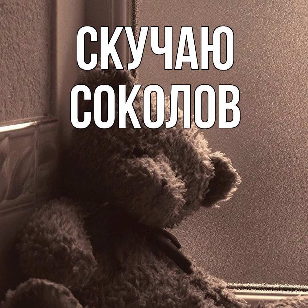 Открытка  с именем. Соколов, Скучаю  