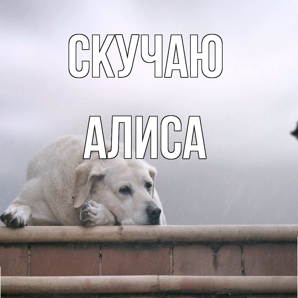 Открытка  с именем. Алиса, Скучаю  