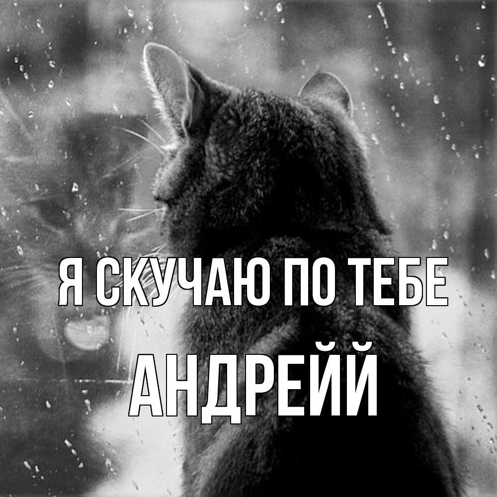 Открытка  с именем. Андрейй, Я скучаю по тебе  