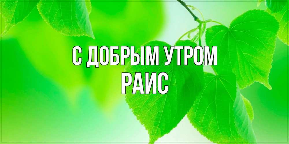 Открытка  с именем. Раис, С добрым утром  