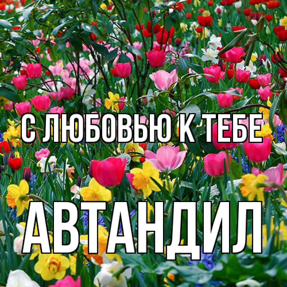 Открытка  с именем. Автандил, С любовью к тебе  