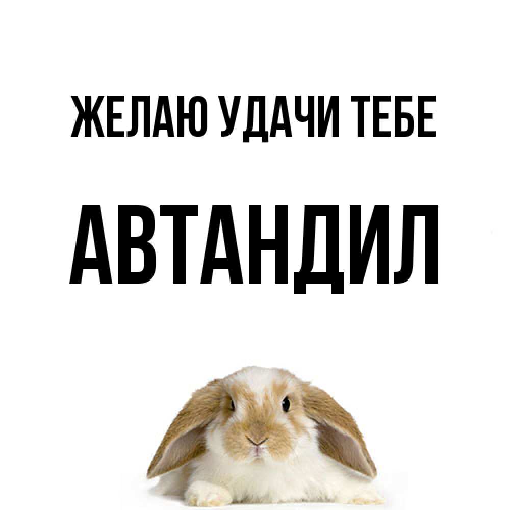 Открытка  с именем. Автандил, Желаю удачи тебе  