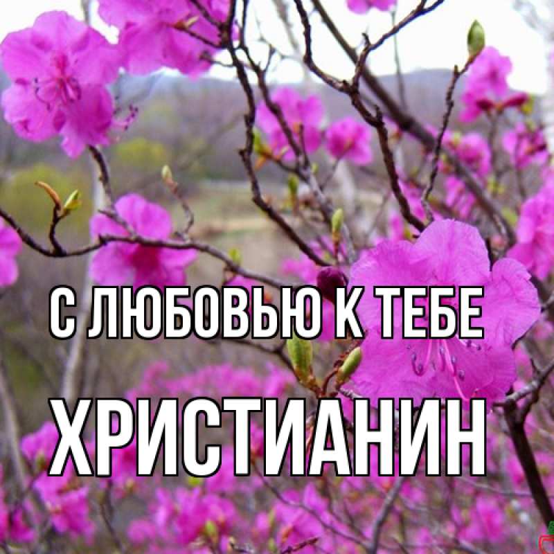Картинка С любовью к тебе, Христианин