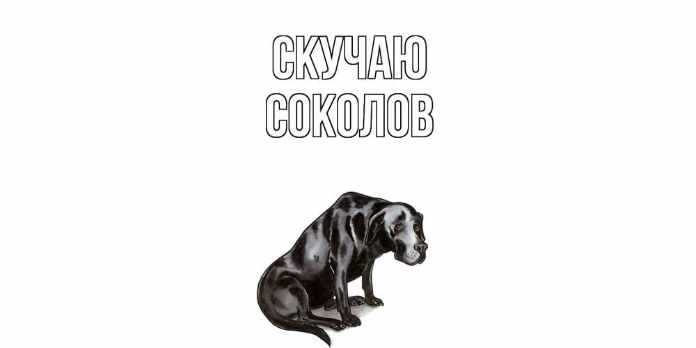 Открытка  с именем. Соколов, Скучаю  