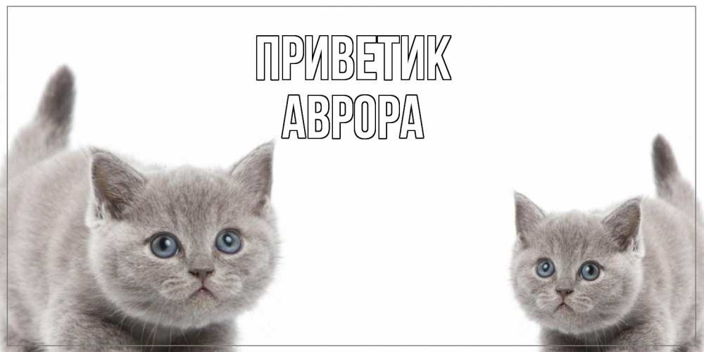 Открытка  с именем. Аврора, приветик  