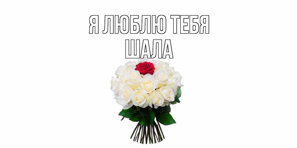 Открытка  с именем. Шала, Я люблю тебя  