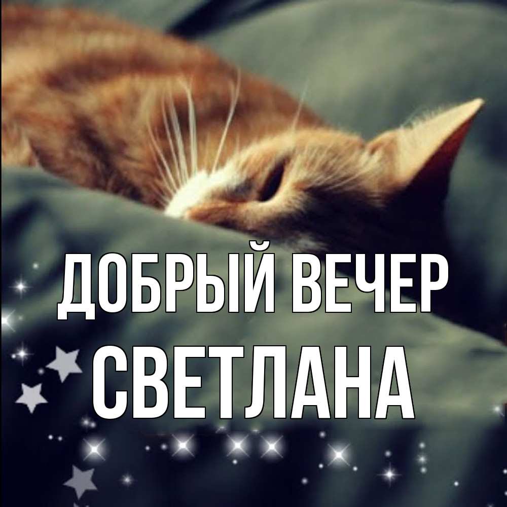 Открытка  с именем. Светлана, Добрый вечер  