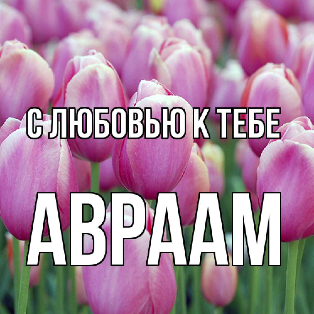 Открытка  с именем. Авраам, С любовью к тебе  