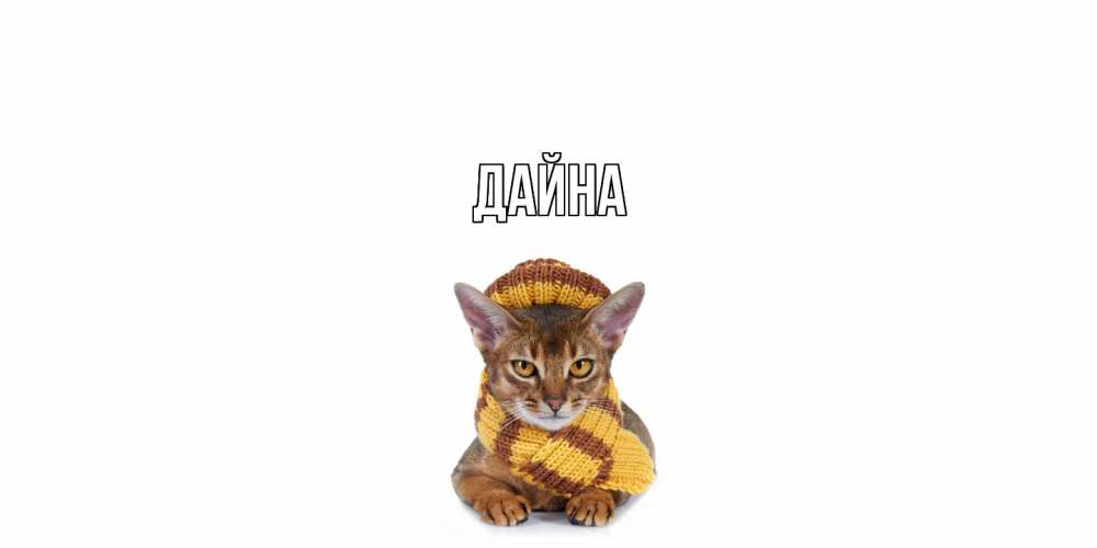 Открытка  с именем. Дайна, Главная  